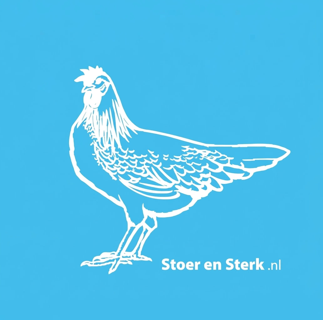 Blauwe Kinderoveralls met print